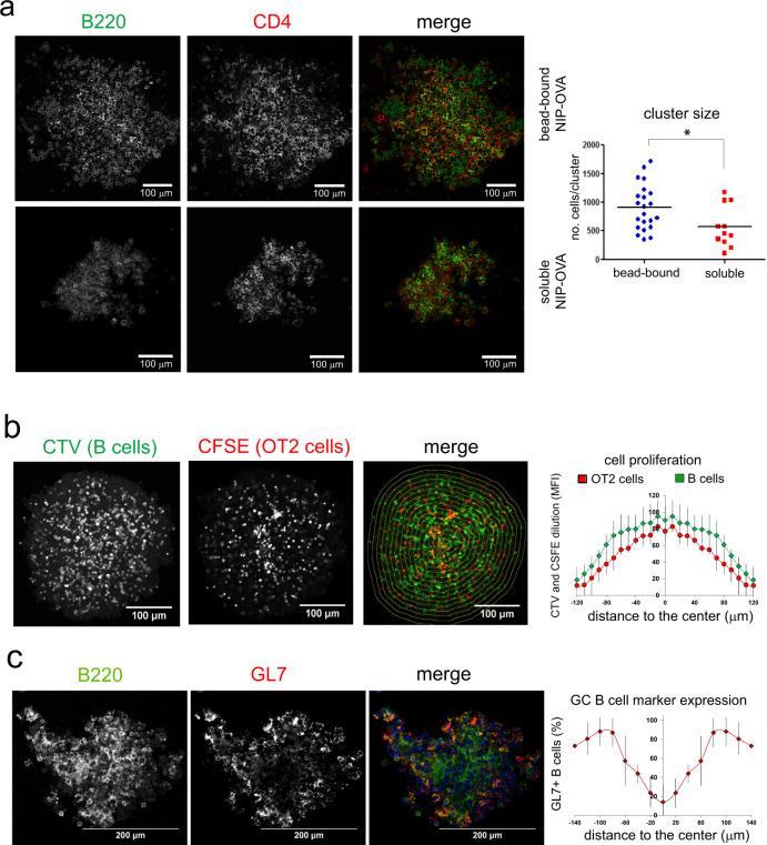 https://cdn.ncbi.nlm.nih.gov/pmc/blobs/b1dc/10119099/d662a0b515f8/42003_2023_4807_Fig3_HTML.jpg