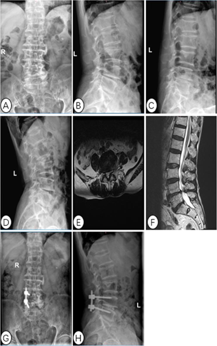 https://cdn.ncbi.nlm.nih.gov/pmc/blobs/b1dd/12032780/053812ab4bc0/13018_2025_5821_Fig10_HTML.jpg