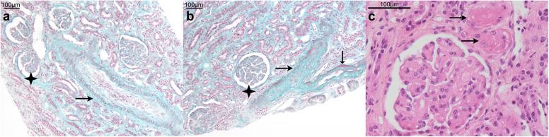https://cdn.ncbi.nlm.nih.gov/pmc/blobs/b1dd/8321963/e426e7abb02e/gr1_lrg.jpg