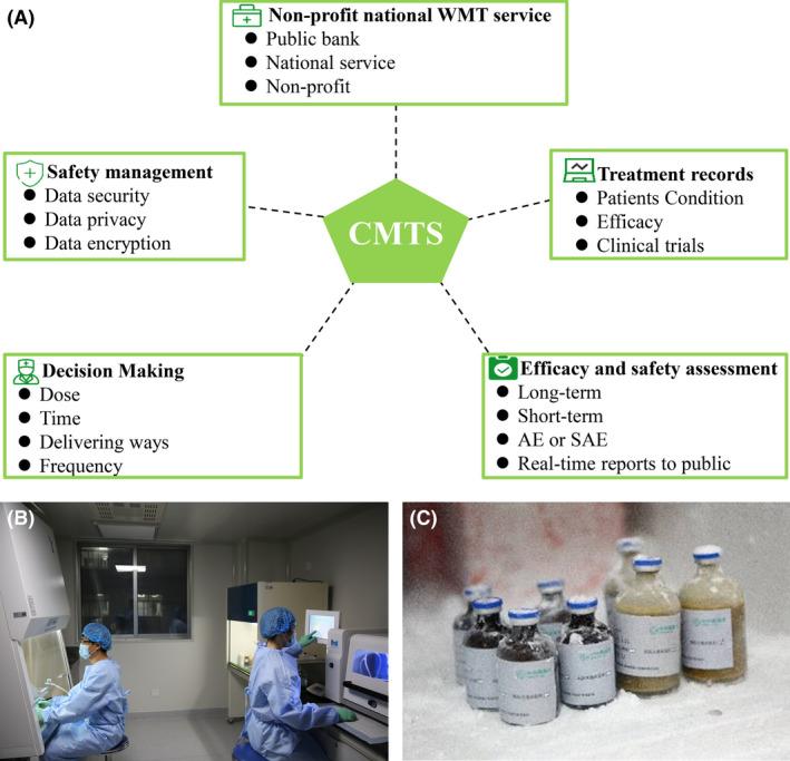 https://cdn.ncbi.nlm.nih.gov/pmc/blobs/b1dd/9437882/346ea77c7447/MBT2-15-2439-g002.jpg