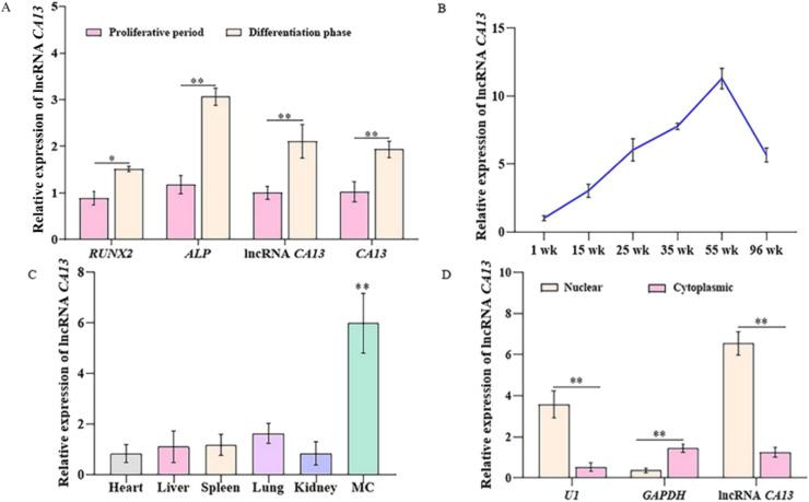 https://cdn.ncbi.nlm.nih.gov/pmc/blobs/b1de/12173071/126107a3a611/gr2.jpg