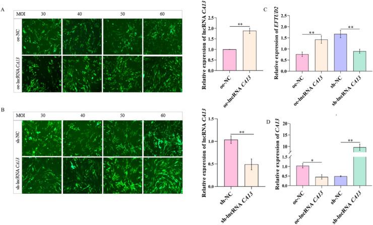 https://cdn.ncbi.nlm.nih.gov/pmc/blobs/b1de/12173071/190456f295fc/gr6.jpg