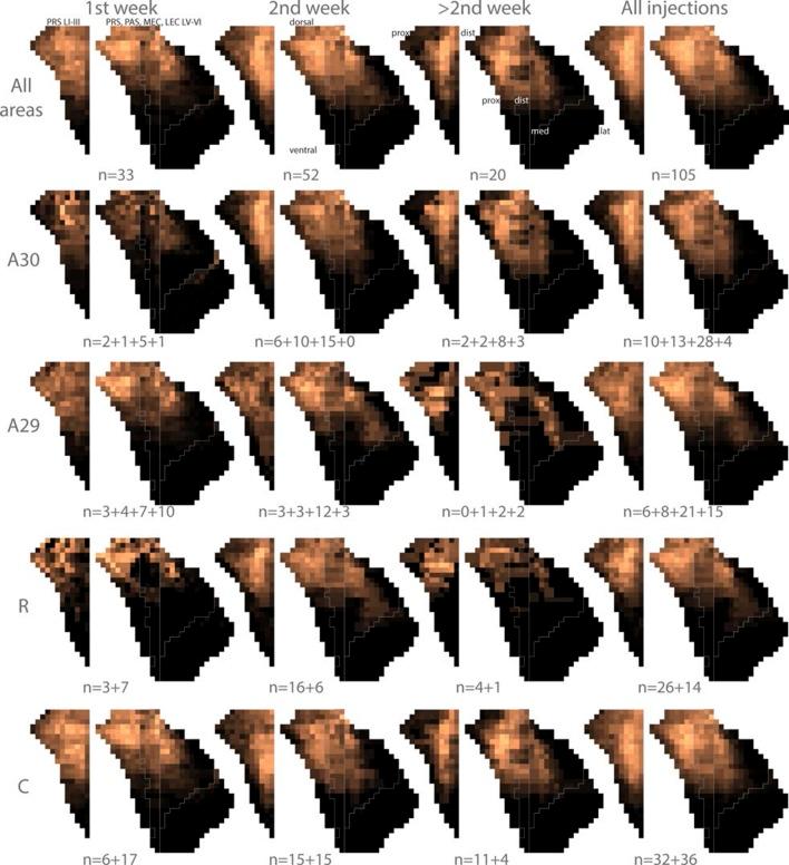https://cdn.ncbi.nlm.nih.gov/pmc/blobs/b1de/4859804/c897ce61b18e/elife-13925-fig6-figsupp1.jpg