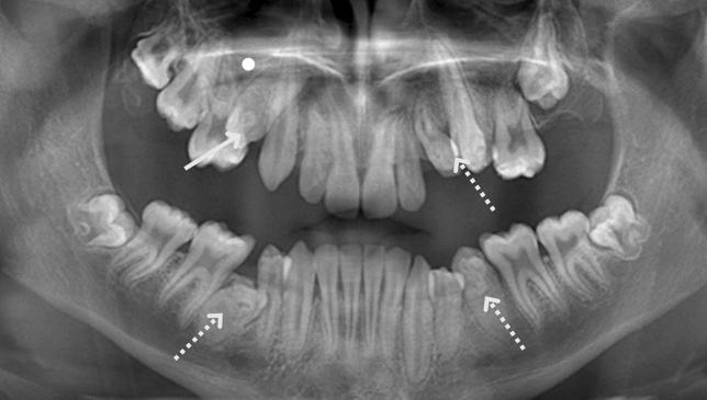https://cdn.ncbi.nlm.nih.gov/pmc/blobs/b1de/8273054/a9302ac8044b/223_2021_835_Fig3_HTML.jpg