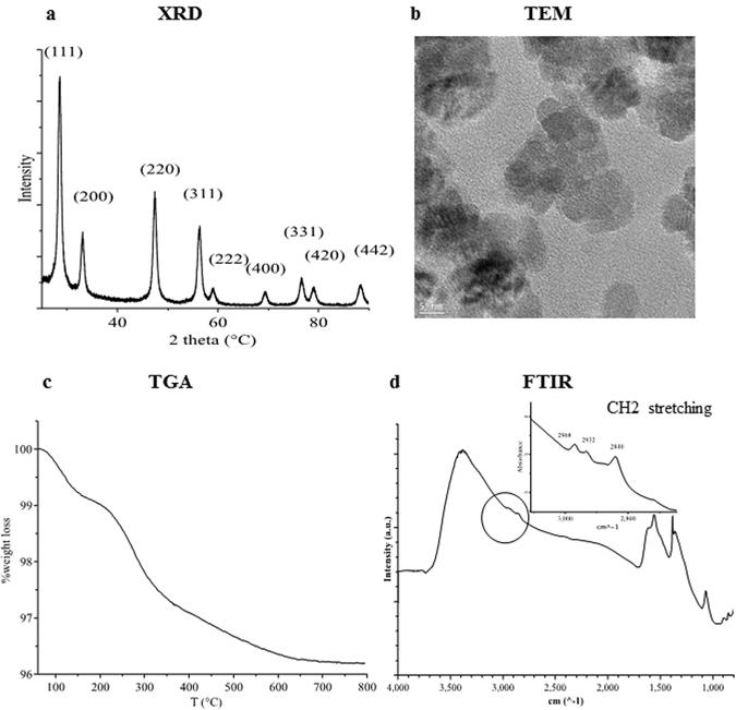 https://cdn.ncbi.nlm.nih.gov/pmc/blobs/b1e0/5498533/6ea617c7cb77/41598_2017_4098_Fig2_HTML.jpg