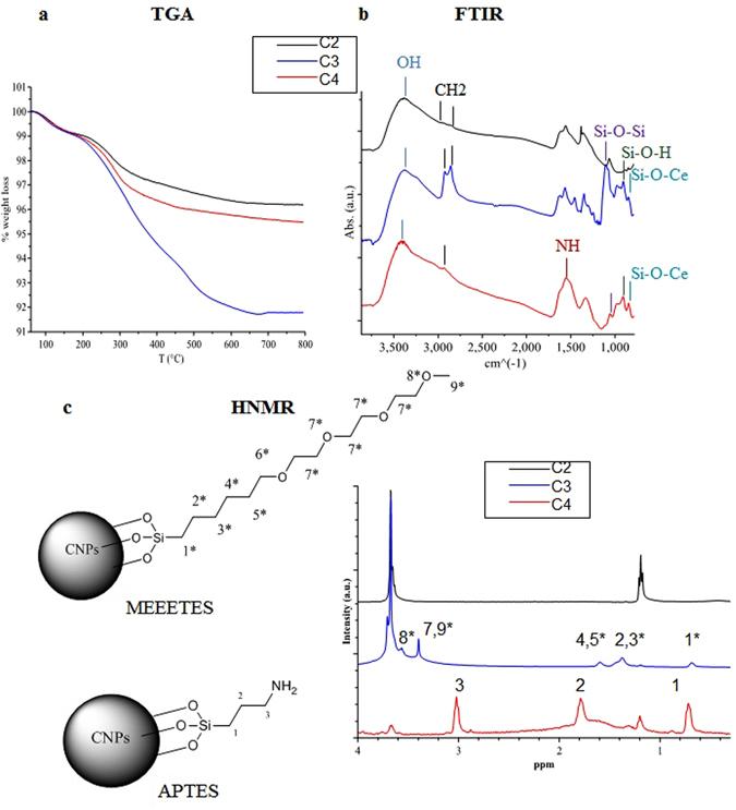 https://cdn.ncbi.nlm.nih.gov/pmc/blobs/b1e0/5498533/7286067991db/41598_2017_4098_Fig3_HTML.jpg