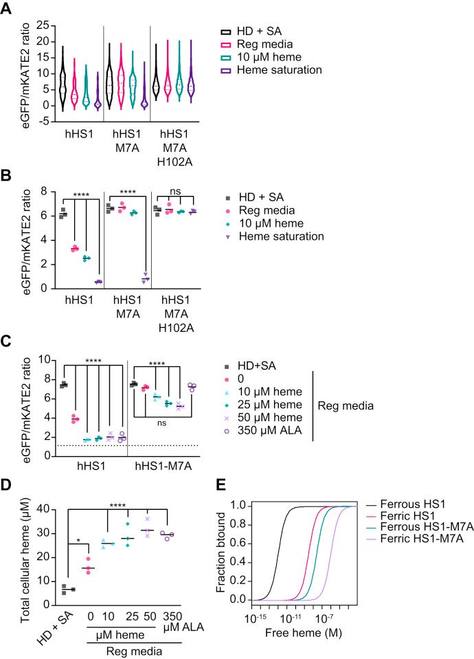 https://cdn.ncbi.nlm.nih.gov/pmc/blobs/b1e0/8808069/71d6c82ca202/gr2.jpg