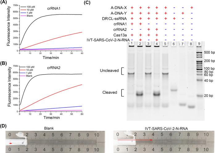 https://cdn.ncbi.nlm.nih.gov/pmc/blobs/b1e1/11270516/91bccf681de9/ac4c02087_0002.jpg