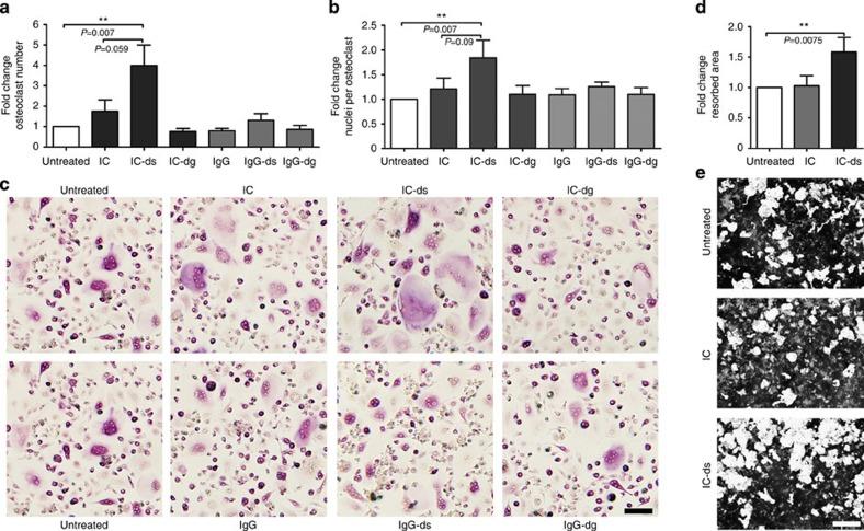 https://cdn.ncbi.nlm.nih.gov/pmc/blobs/b1e1/4389255/35ad9b36eadf/ncomms7651-f1.jpg