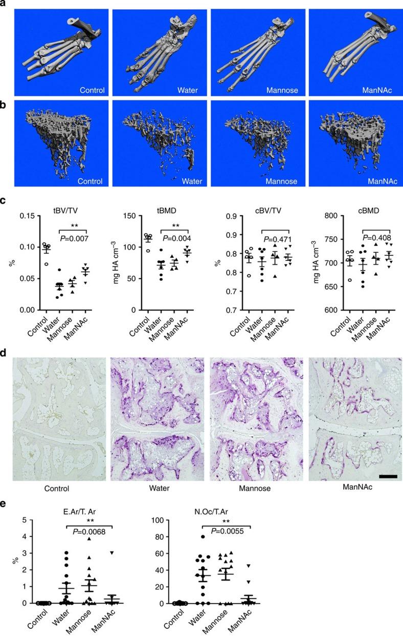 https://cdn.ncbi.nlm.nih.gov/pmc/blobs/b1e1/4389255/f550f59aa7f5/ncomms7651-f6.jpg