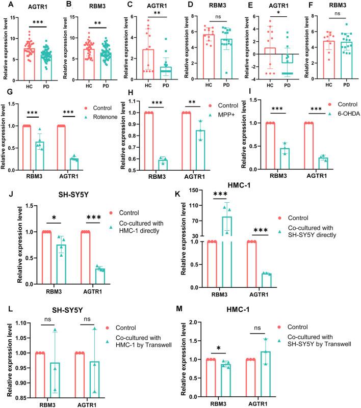 https://cdn.ncbi.nlm.nih.gov/pmc/blobs/b1e1/7899990/103086499031/fnagi-13-605970-g0008.jpg