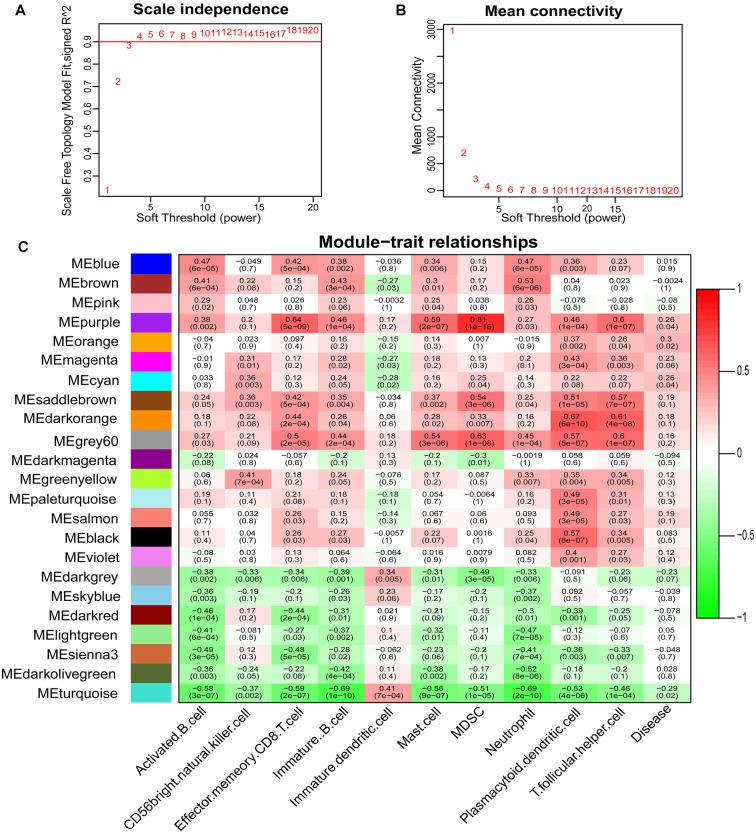 https://cdn.ncbi.nlm.nih.gov/pmc/blobs/b1e1/7899990/b6a2a3fbc71b/fnagi-13-605970-g0004.jpg