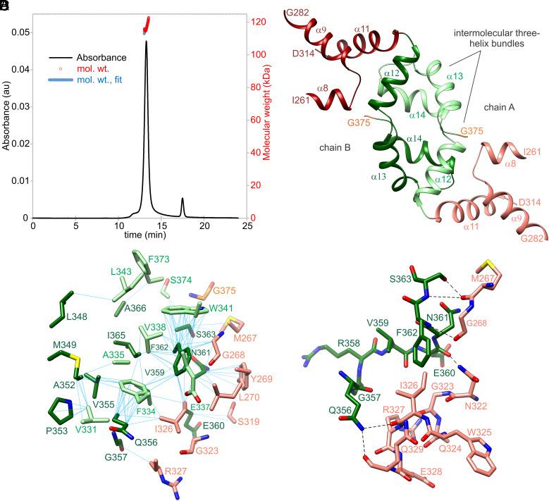 https://cdn.ncbi.nlm.nih.gov/pmc/blobs/b1e2/12088422/8a02ed63cb54/pnas.2504757122fig02.jpg