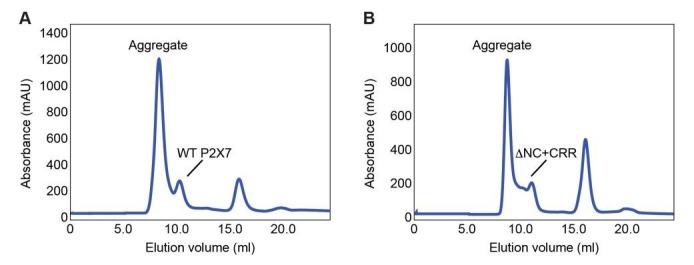 https://cdn.ncbi.nlm.nih.gov/pmc/blobs/b1e4/5624784/6d6c23acac12/elife-31186-resp-fig1.jpg