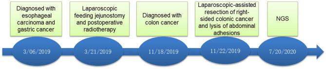 https://cdn.ncbi.nlm.nih.gov/pmc/blobs/b1e5/8299121/7150e73cb28c/fgene-12-676497-g0002.jpg