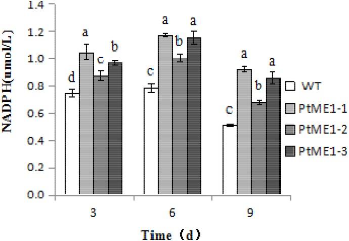 https://cdn.ncbi.nlm.nih.gov/pmc/blobs/b1e7/6018094/9df86364bc7e/fpls-09-00826-g005.jpg