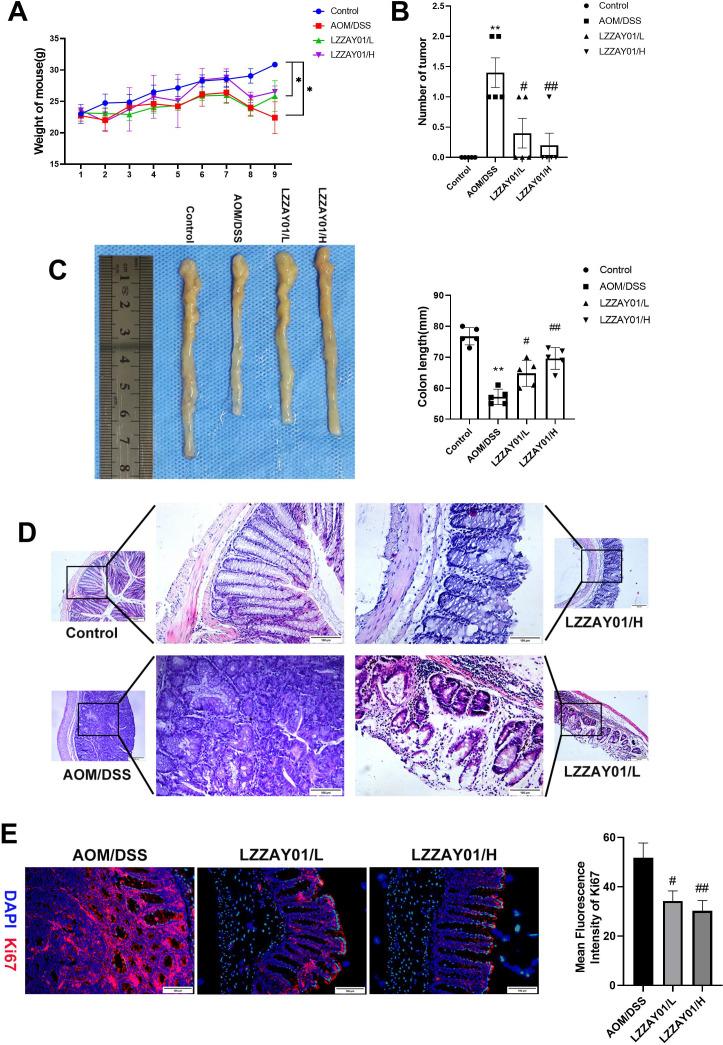 https://cdn.ncbi.nlm.nih.gov/pmc/blobs/b1ec/11792455/2deae6a66bea/spectrum.01861-24.f005.jpg