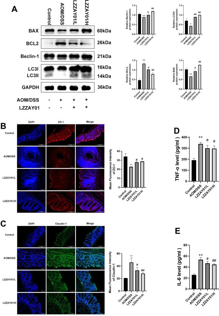 https://cdn.ncbi.nlm.nih.gov/pmc/blobs/b1ec/11792455/cb23c85982e1/spectrum.01861-24.f006.jpg