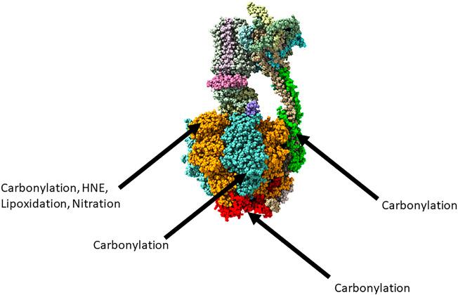https://cdn.ncbi.nlm.nih.gov/pmc/blobs/b1ec/8882969/fb02f7ae0eb8/fmolb-09-854321-g001.jpg