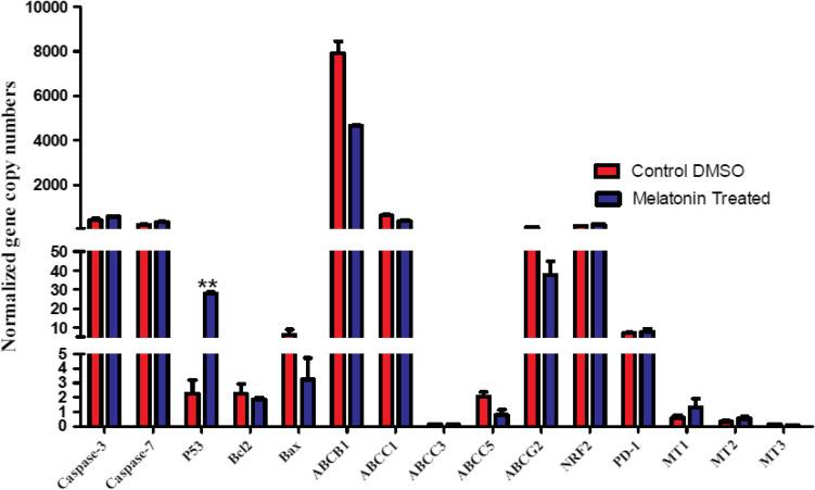 https://cdn.ncbi.nlm.nih.gov/pmc/blobs/b1ef/10185645/defe1ba123f9/210_2023_2385_Fig3_HTML.jpg