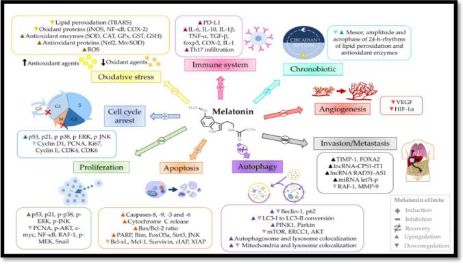 https://cdn.ncbi.nlm.nih.gov/pmc/blobs/b1ef/10185645/f52b52231126/210_2023_2385_Fig1_HTML.jpg