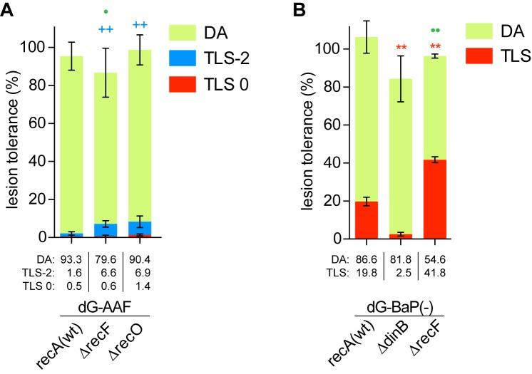 https://cdn.ncbi.nlm.nih.gov/pmc/blobs/b1f0/5027485/11912255a864/gkw488fig4.jpg