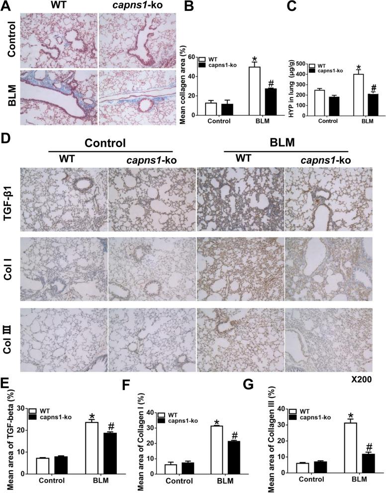 https://cdn.ncbi.nlm.nih.gov/pmc/blobs/b1f2/9210712/392e987b7f24/13075_2022_2833_Fig4_HTML.jpg