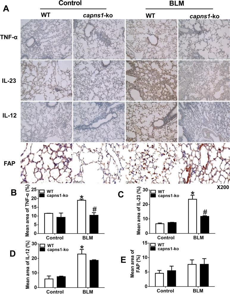 https://cdn.ncbi.nlm.nih.gov/pmc/blobs/b1f2/9210712/bc2c01d62223/13075_2022_2833_Fig7_HTML.jpg
