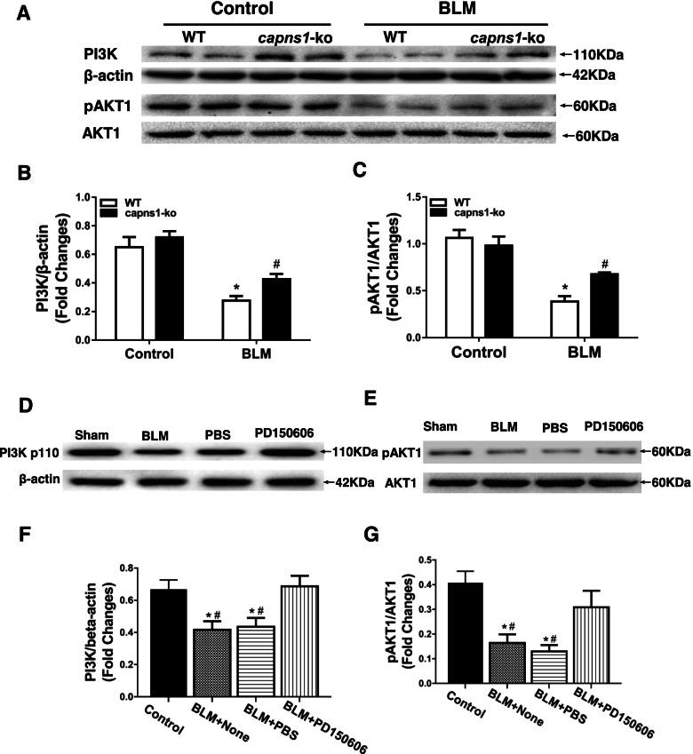 https://cdn.ncbi.nlm.nih.gov/pmc/blobs/b1f2/9210712/faeffad361d6/13075_2022_2833_Fig8_HTML.jpg