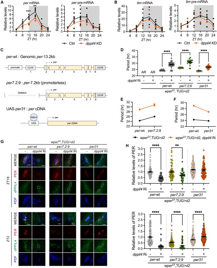https://cdn.ncbi.nlm.nih.gov/pmc/blobs/b1f3/12084006/4eb8160962b9/gr4.jpg