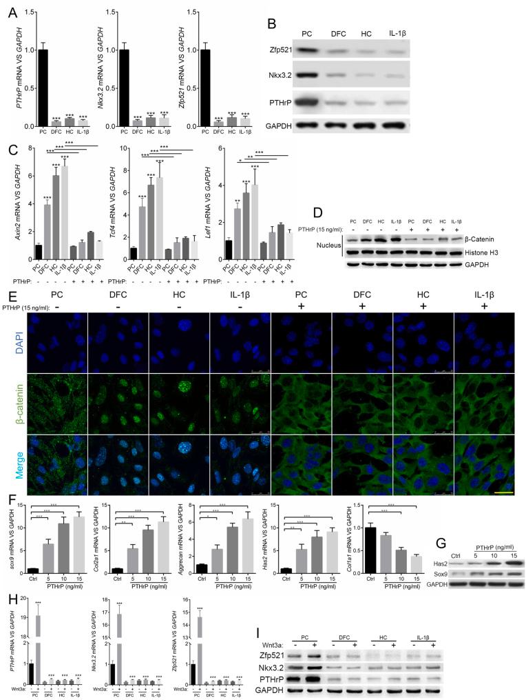 https://cdn.ncbi.nlm.nih.gov/pmc/blobs/b1f3/12304701/cec071b14a5d/gr3.jpg