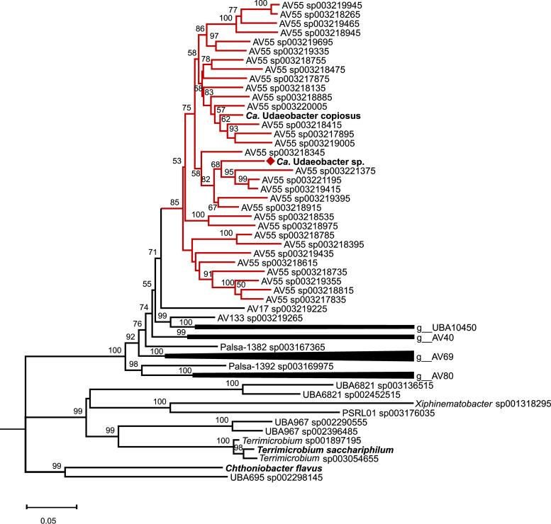 https://cdn.ncbi.nlm.nih.gov/pmc/blobs/b1f5/7343977/3461b6b9dd1d/mSphere.00186-20-f0004.jpg