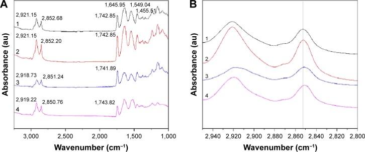 https://cdn.ncbi.nlm.nih.gov/pmc/blobs/b1f6/4516257/9035f3a2c583/ijn-10-4639Fig7.jpg
