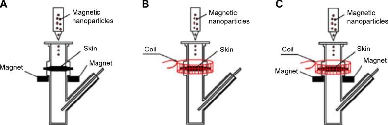 https://cdn.ncbi.nlm.nih.gov/pmc/blobs/b1f6/4516257/ee0cb11aa760/ijn-10-4639Fig2.jpg