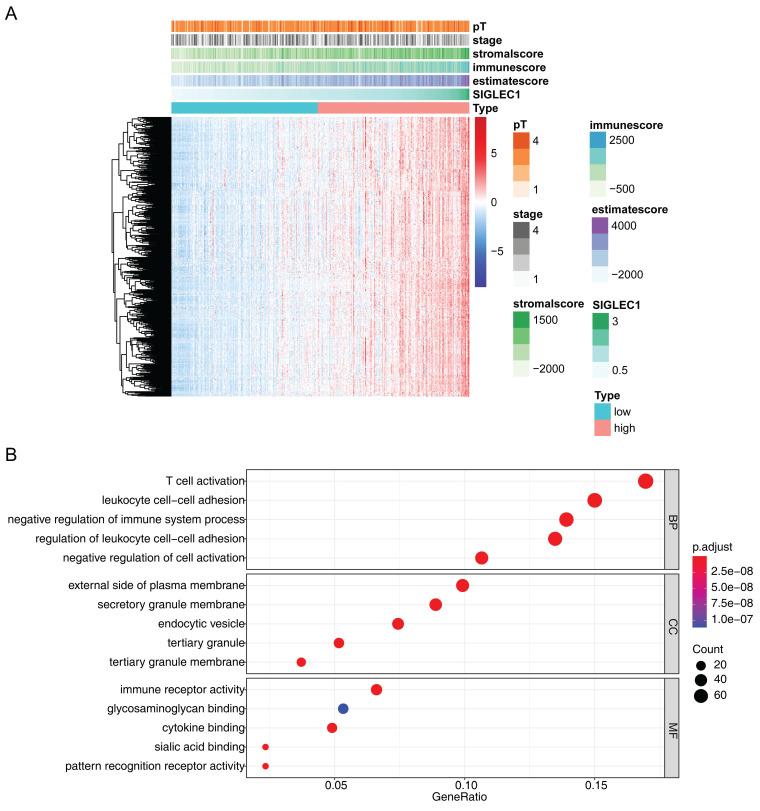 https://cdn.ncbi.nlm.nih.gov/pmc/blobs/b1f7/11660119/1fc8384f07f5/jcav16p0351g006.jpg