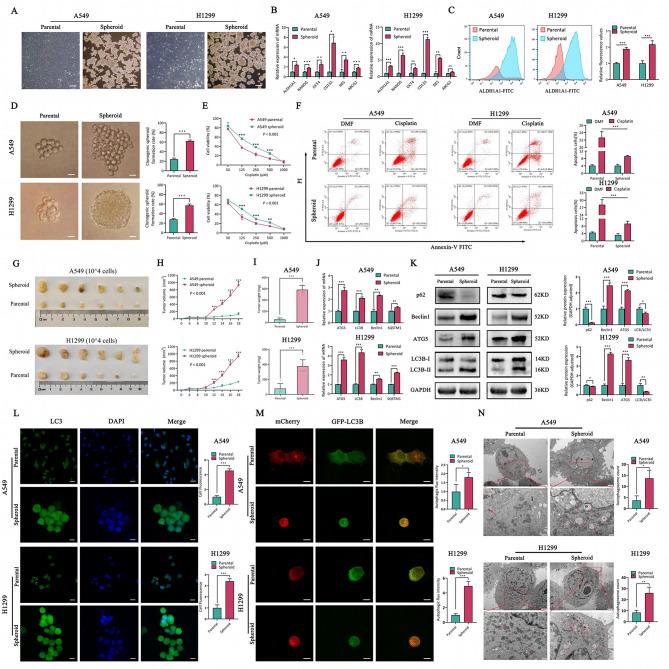 https://cdn.ncbi.nlm.nih.gov/pmc/blobs/b1f9/12398038/a54002fc9538/13046_2025_3506_Fig1_HTML.jpg