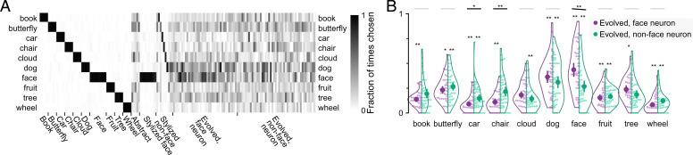 https://cdn.ncbi.nlm.nih.gov/pmc/blobs/b1f9/9169805/eb68be2db4f5/pnas.2118705119fig03.jpg