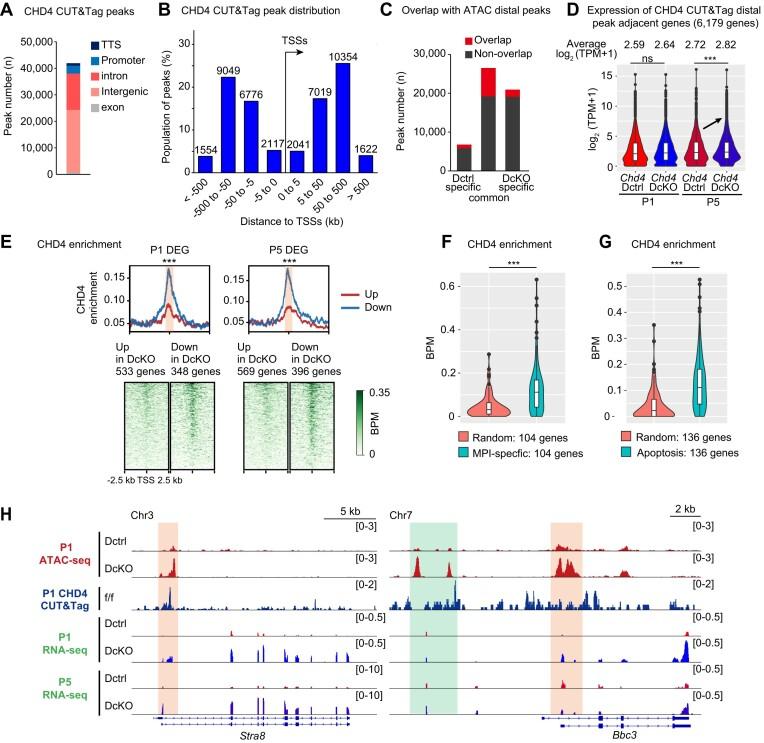 https://cdn.ncbi.nlm.nih.gov/pmc/blobs/b1fa/11795200/96d5d5bb7cd7/gkaf008fig6.jpg