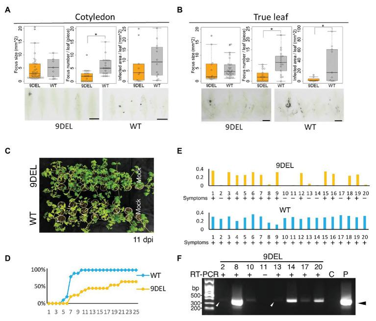 https://cdn.ncbi.nlm.nih.gov/pmc/blobs/b1fd/7758215/c04aff293020/fmicb-11-564310-g003.jpg