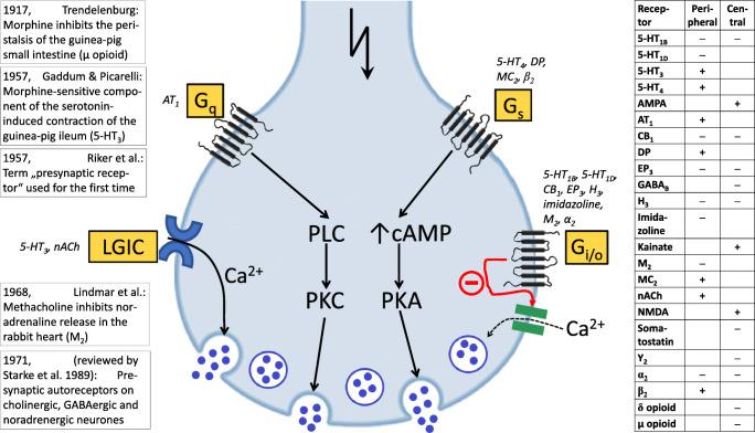 https://cdn.ncbi.nlm.nih.gov/pmc/blobs/b1fe/8376721/3f6fad39970d/210_2021_2083_Fig11_HTML.jpg