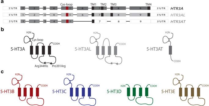 https://cdn.ncbi.nlm.nih.gov/pmc/blobs/b1fe/8376721/e0328a089b70/210_2021_2083_Fig4_HTML.jpg
