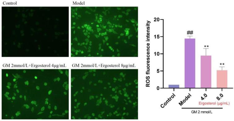 https://cdn.ncbi.nlm.nih.gov/pmc/blobs/b1ff/12195316/2b734b73ccdd/metabolites-15-00373-g003.jpg