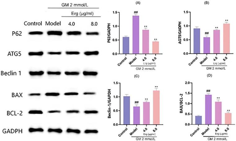 https://cdn.ncbi.nlm.nih.gov/pmc/blobs/b1ff/12195316/c75e6657ed4e/metabolites-15-00373-g005.jpg