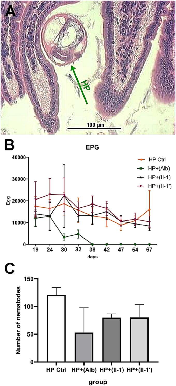 https://cdn.ncbi.nlm.nih.gov/pmc/blobs/b205/11156610/950791ce07bd/gr5.jpg