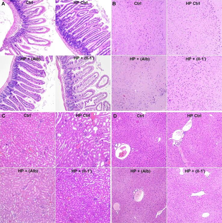 https://cdn.ncbi.nlm.nih.gov/pmc/blobs/b205/11156610/fbb4a9e850bb/gr6.jpg