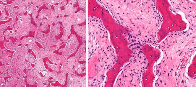 https://cdn.ncbi.nlm.nih.gov/pmc/blobs/b206/11488373/beb24ceaf972/CASE24396_figure_4.jpg