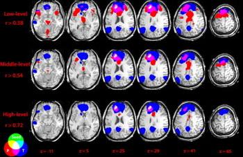 https://cdn.ncbi.nlm.nih.gov/pmc/blobs/b208/4053646/f8e7b7a42335/gr5.jpg