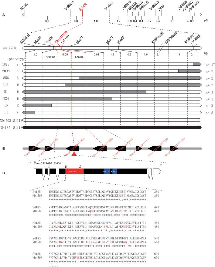 https://cdn.ncbi.nlm.nih.gov/pmc/blobs/b20a/10161252/ad3951271821/fpls-14-1108565-g004.jpg