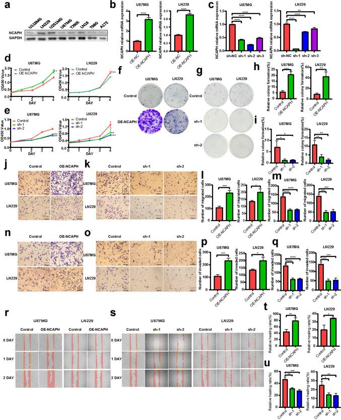 https://cdn.ncbi.nlm.nih.gov/pmc/blobs/b20a/11695388/97c5425ff839/11010_2024_4976_Fig3_HTML.jpg