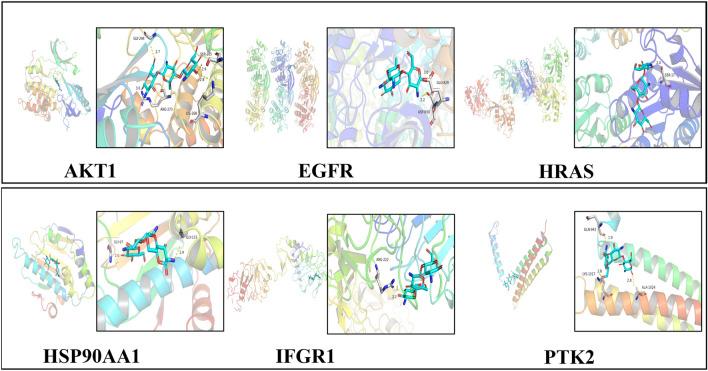 https://cdn.ncbi.nlm.nih.gov/pmc/blobs/b20b/10480286/7bde47aec38e/12032_2023_2165_Fig6_HTML.jpg